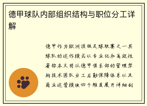 德甲球队内部组织结构与职位分工详解
